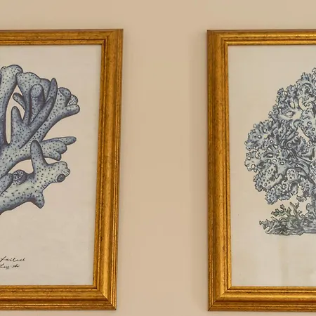 Oakbank-central Appartamento